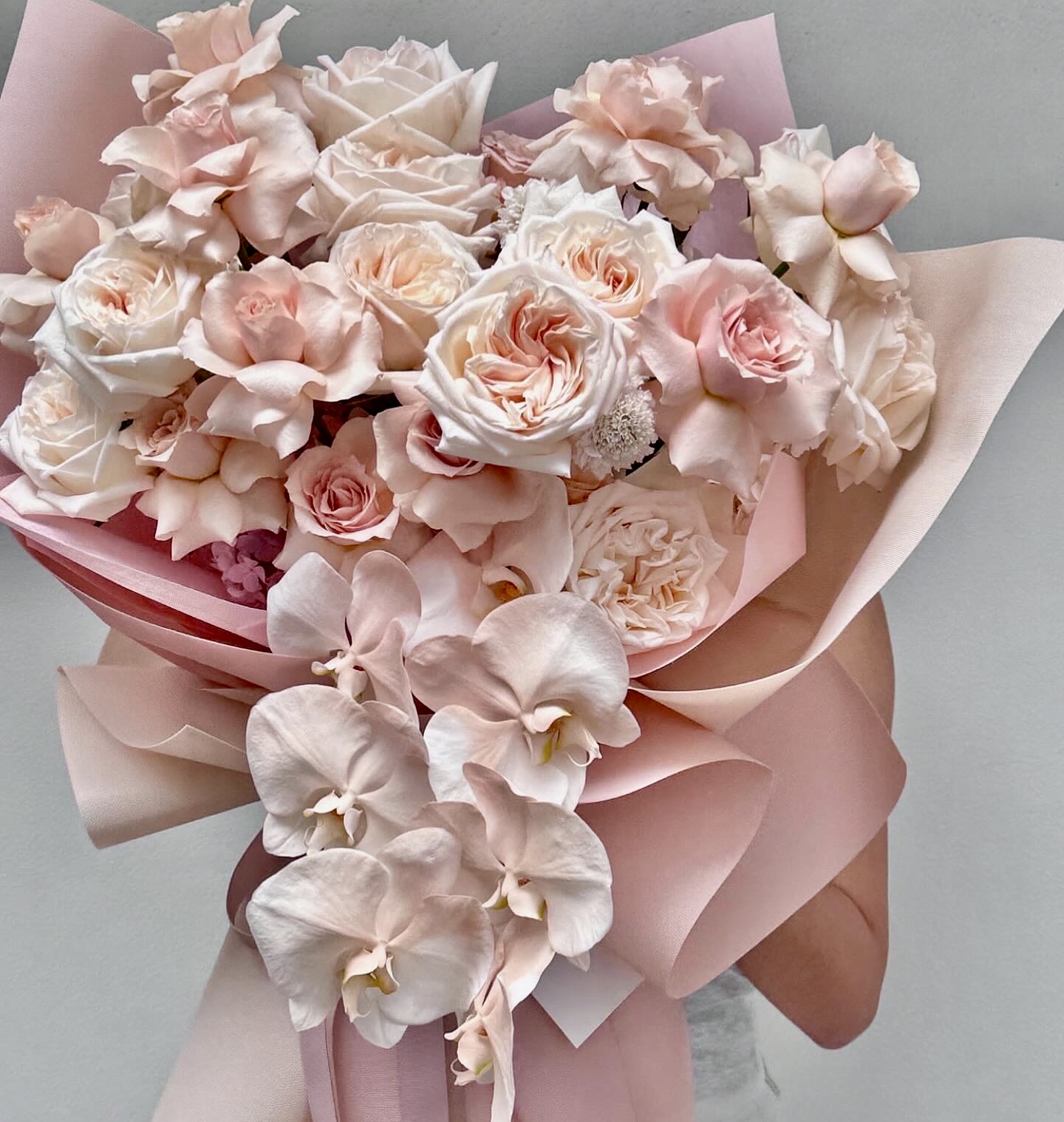 Blush Pink