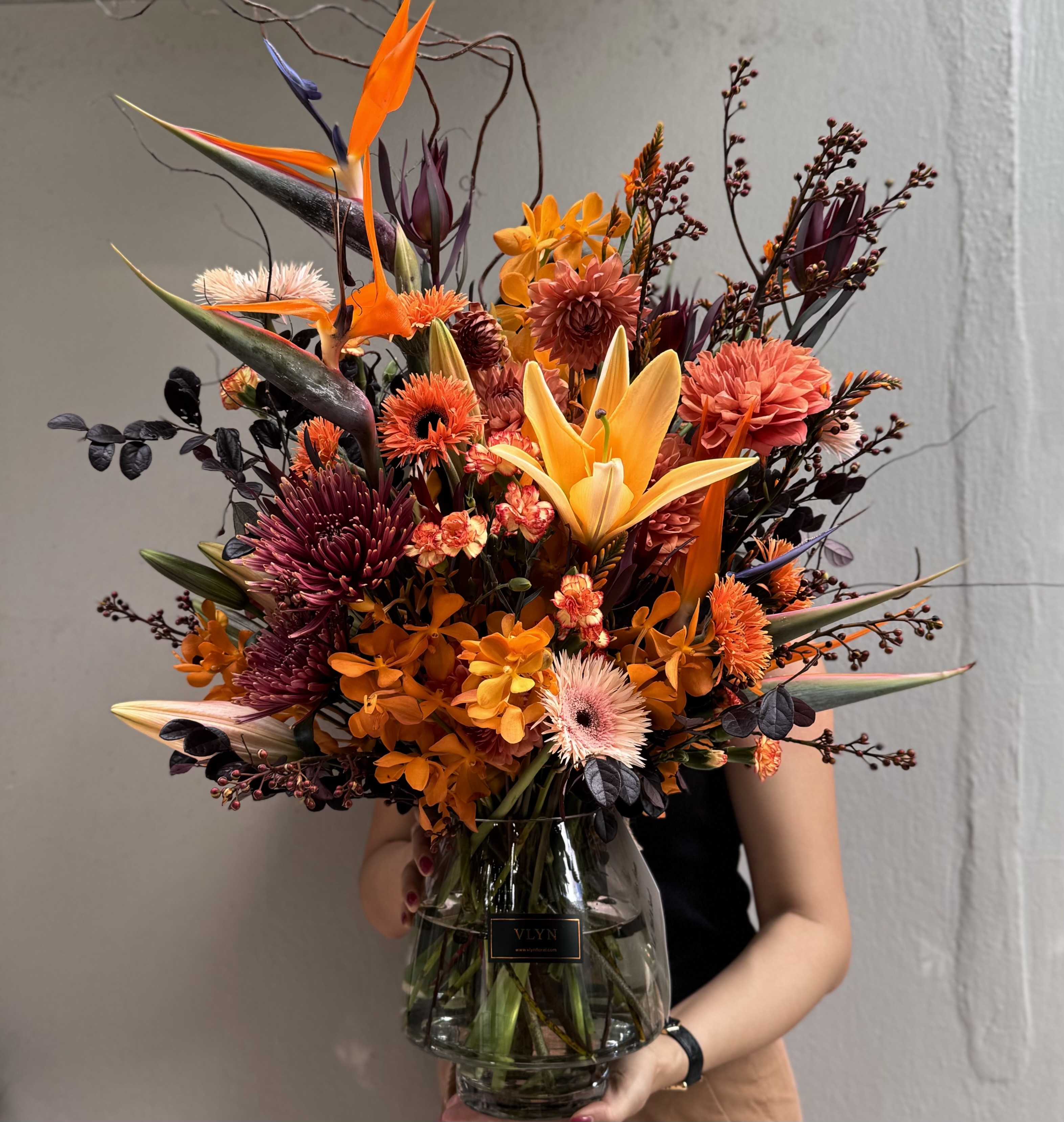 Bird of Paradise